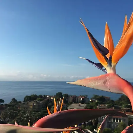 Arco Di Sole Sud *